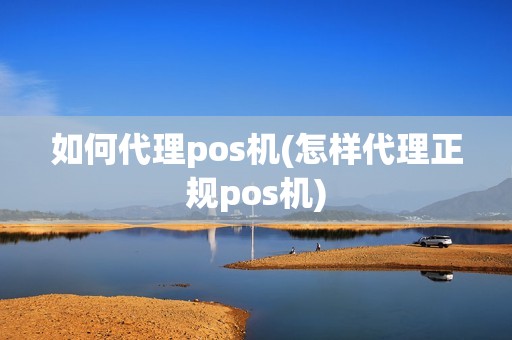 如何代理pos机(怎样代理正规pos机)