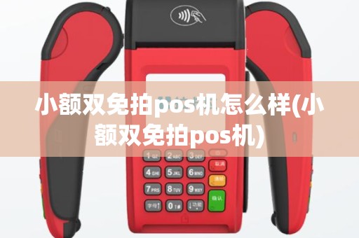 小额双免拍pos机怎么样(小额双免拍pos机)