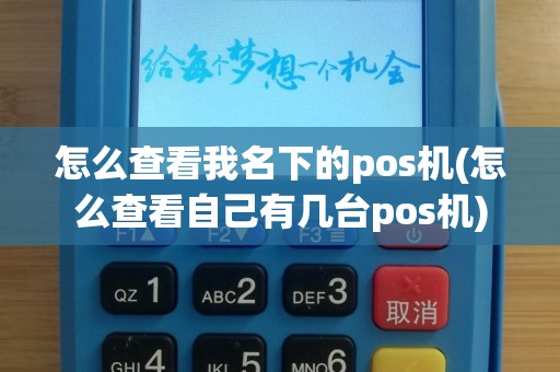 怎么查看我名下的pos机(怎么查看自己有几台pos机)