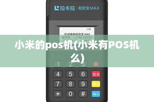 小米的pos机(小米有POS机么)
