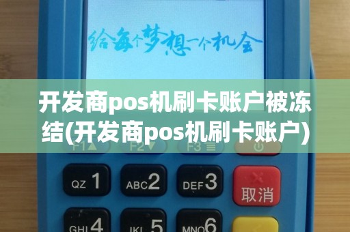 开发商pos机刷卡账户被冻结(开发商pos机刷卡账户)