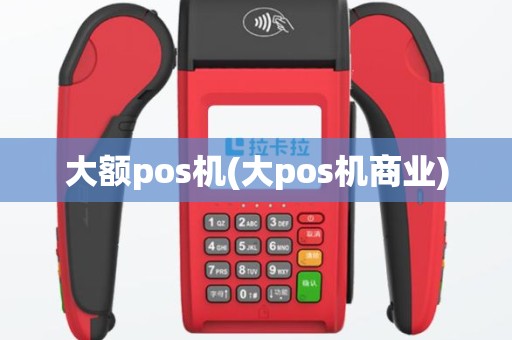 大额pos机(大pos机商业)