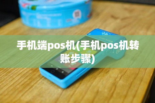 手机端pos机(手机pos机转账步骤)