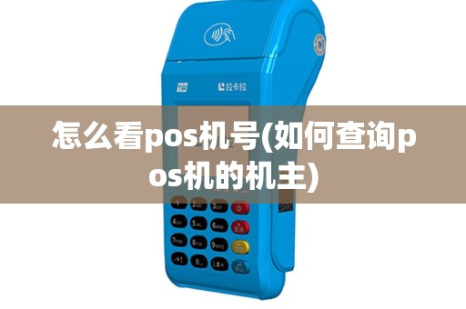 怎么看pos机号(如何查询pos机的机主)