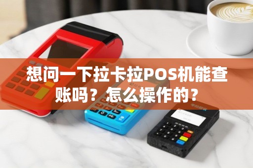 想问一下拉卡拉POS机能查账吗？怎么操作的？