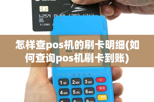 怎样查pos机的刷卡明细(如何查询pos机刷卡到账)