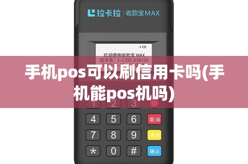 手机pos可以刷信用卡吗(手机能pos机吗)