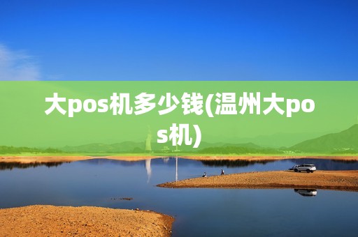 大pos机多少钱(温州大pos机)