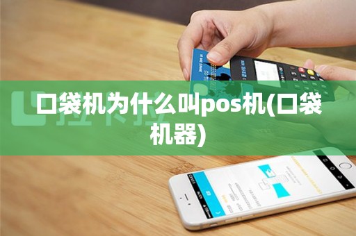 口袋机为什么叫pos机(口袋机器)