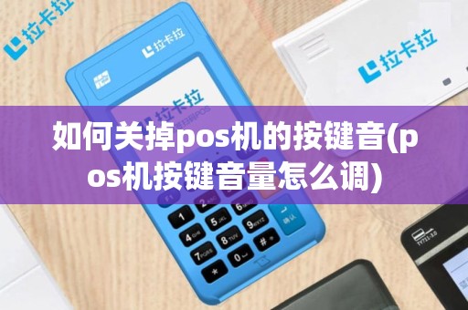 如何关掉pos机的按键音(pos机按键音量怎么调)