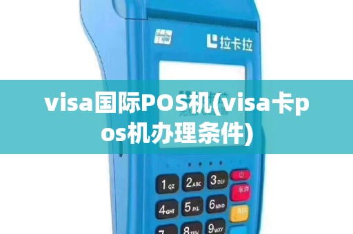 visa国际POS机(visa卡pos机办理条件)