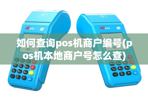 如何查询pos机商户编号(pos机本地商户号怎么查)