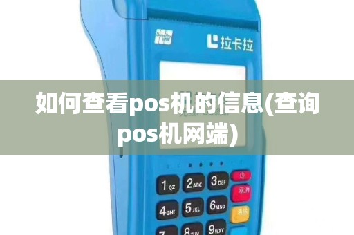 如何查看pos机的信息(查询pos机网端)