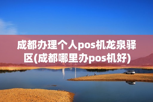 成都办理个人pos机龙泉驿区(成都哪里办pos机好)