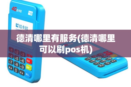 德清哪里有服务(德清哪里可以刷pos机)