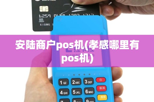安陆商户pos机(孝感哪里有pos机)