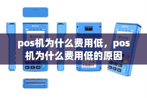 pos机为什么费用低，pos机为什么费用低的原因