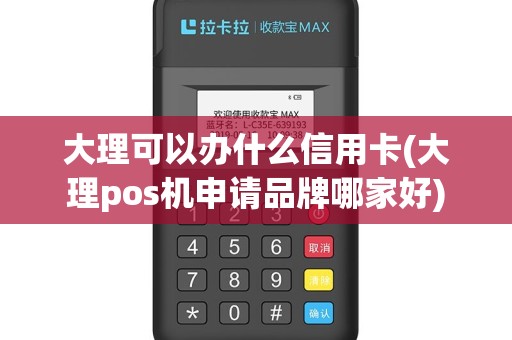大理可以办什么信用卡(大理pos机申请品牌哪家好)