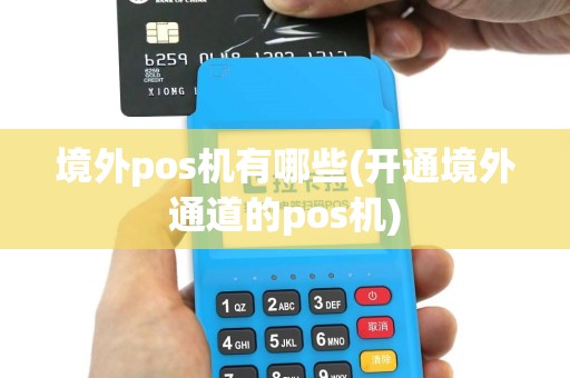 境外pos机有哪些(开通境外通道的pos机)