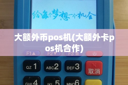 大额外币pos机(大额外卡pos机合作)
