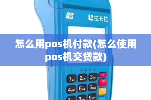 怎么用pos机付款(怎么使用pos机交贷款)
