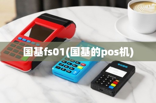 国基fs01(国基的pos机)
