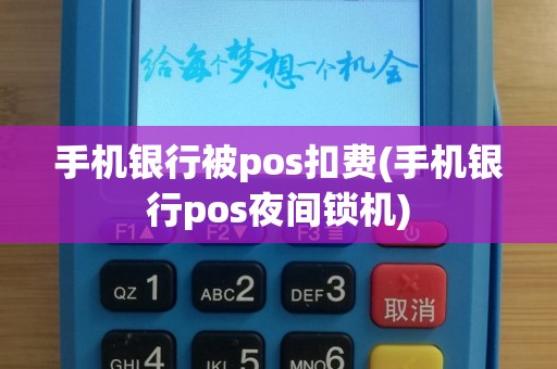手机银行被pos扣费(手机银行pos夜间锁机)