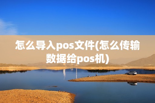 怎么导入pos文件(怎么传输数据给pos机)