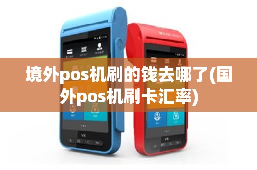 境外pos机刷的钱去哪了(国外pos机刷卡汇率)