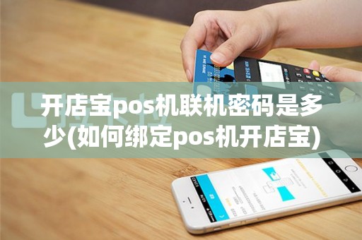 开店宝pos机联机密码是多少(如何绑定pos机开店宝)
