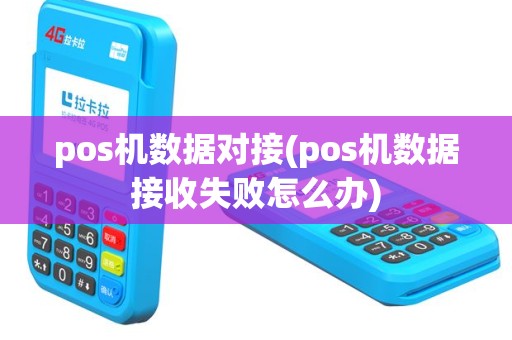 pos机数据对接(pos机数据接收失败怎么办)
