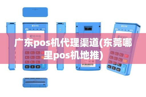 广东pos机代理渠道(东莞哪里pos机地推)