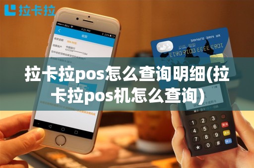 拉卡拉pos怎么查询明细(拉卡拉pos机怎么查询)