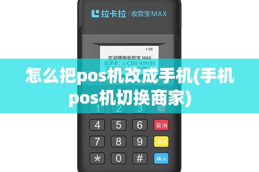 怎么把pos机改成手机(手机pos机切换商家)