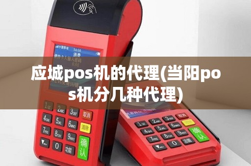 应城pos机的代理(当阳pos机分几种代理)