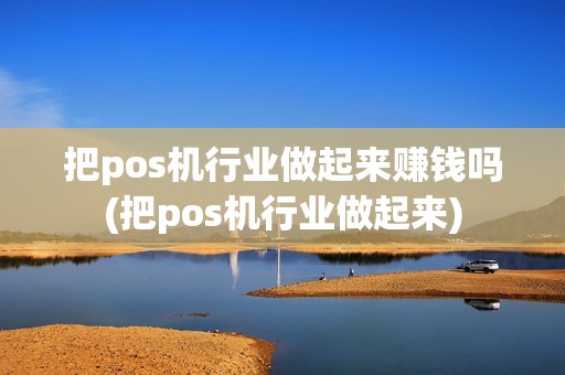 把pos机行业做起来赚钱吗(把pos机行业做起来)