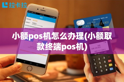 小额pos机怎么办理(小额取款终端pos机)