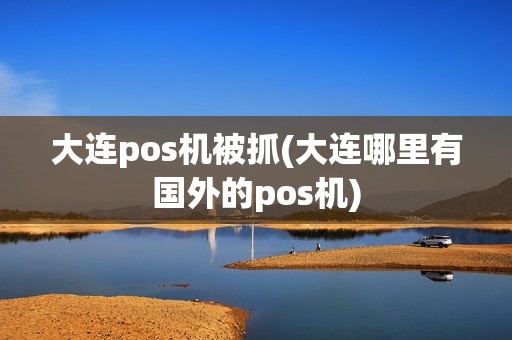 大连pos机被抓(大连哪里有国外的pos机)