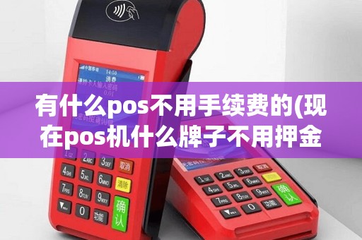 有什么pos不用手续费的(现在pos机什么牌子不用押金)