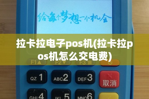 拉卡拉电子pos机(拉卡拉pos机怎么交电费)
