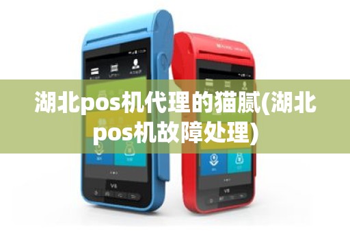 湖北pos机代理的猫腻(湖北pos机故障处理)