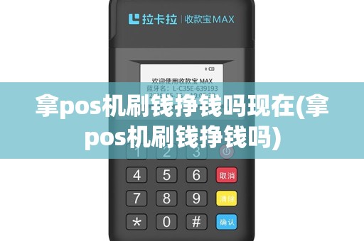 拿pos机刷钱挣钱吗现在(拿pos机刷钱挣钱吗)