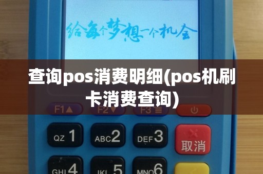 查询pos消费明细(pos机刷卡消费查询)