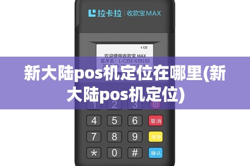 新大陆pos机定位在哪里(新大陆pos机定位)