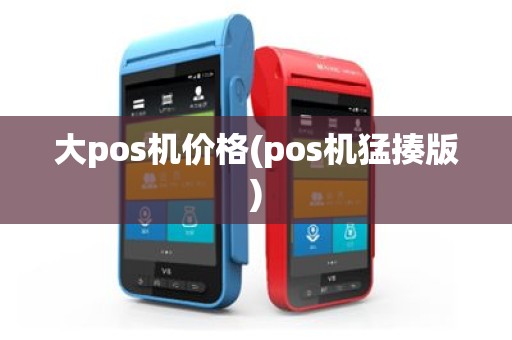 大pos机价格(pos机猛揍版)
