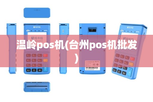 温岭pos机(台州pos机批发)