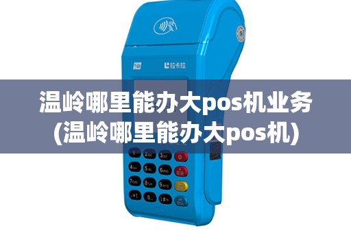 温岭哪里能办大pos机业务(温岭哪里能办大pos机)