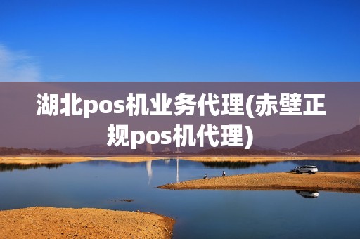 湖北pos机业务代理(赤壁正规pos机代理)