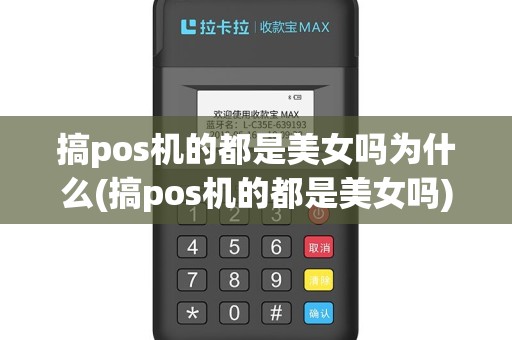 搞pos机的都是美女吗为什么(搞pos机的都是美女吗)