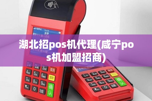 湖北招pos机代理(咸宁pos机加盟招商)